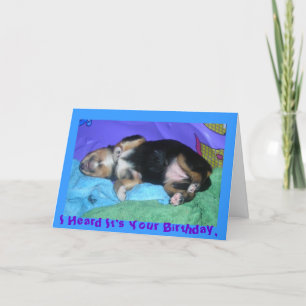 子犬忙しい一日、私はそれがあなたの誕生日であることを聞きました、 カード