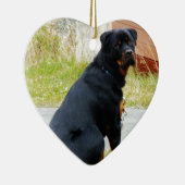 子犬犬の目 セラミックオーナメント (右)