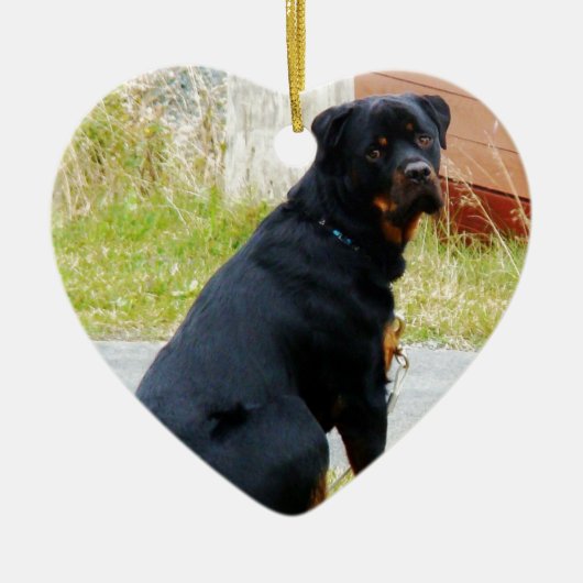 子犬犬の目 セラミックオーナメント (正面)