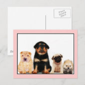 子犬用はがき ポストカード (正面/裏面)