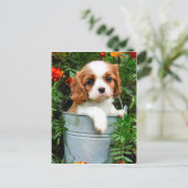 子犬用はがき ポストカード (スタンド正面)