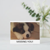 子犬用はがき ポストカード (スタンド正面)