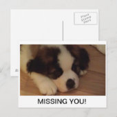 子犬用はがき ポストカード (正面/裏面)