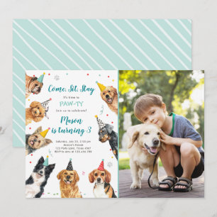 子犬誕生日招待状ドッグパーティーパウティボーイ 招待状