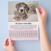 子犬販売チラシテンプレート チラシ (手)