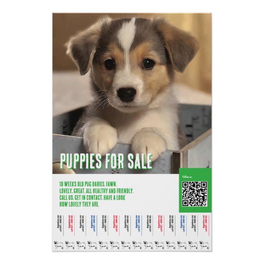 子犬販売チラシテンプレート ポスター (正面)