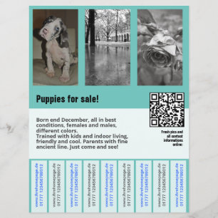 子犬販売チラシテンプレートQRコード