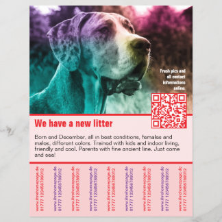 子犬販売チラシテンプレートQRコード チラシ