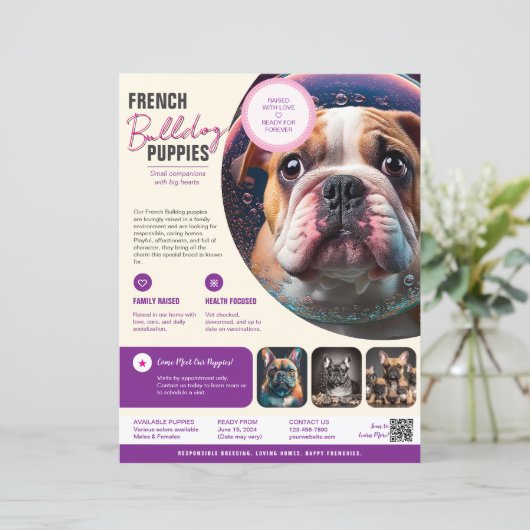 子犬販売チラシ (スタンド正面)