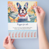 子犬販売チラシ チラシ (手)