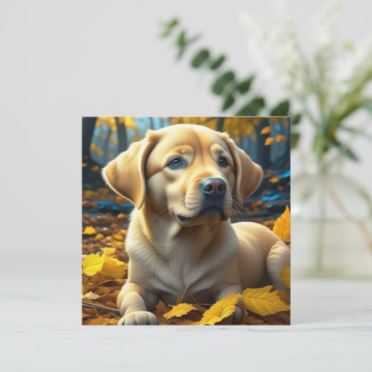 子犬遊の紅葉 (スタンド正面)