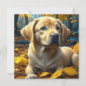 子犬遊の紅葉 (正面)