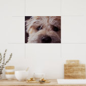 子犬顔クローズアップポスター ポスター (キッチン)