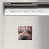 子犬顔クローズアップ磁石 マグネット (インサイチュ (食洗機))