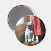 子犬007 マグネット (正面/裏面)