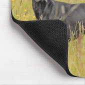 子犬16か月 マウスパッド (コーナー)