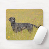 子犬16か月 マウスパッド (マウス)