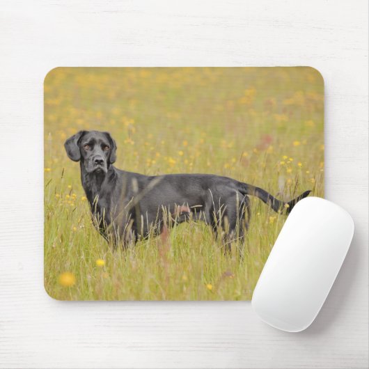 子犬16か月 マウスパッド (マウス)