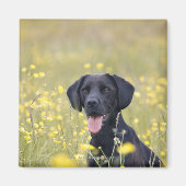 子犬16ヶ月2 マグネット (正面)