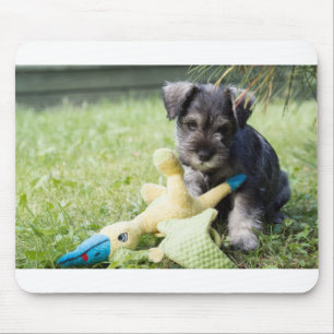子犬2ミニシュナウザー マウスパッド