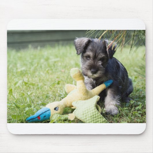 子犬2ミニシュナウザー マウスパッド (正面)