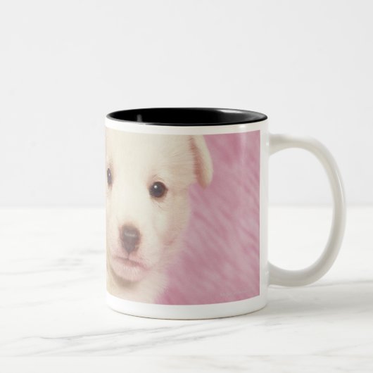 子犬5 ツートーンマグカップ (右)