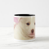 子犬5 ツートーンマグカップ (中央)