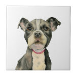 "子犬"はピット・ブル犬の水彩画の絵画を注目します タイル<br><div class="desc">これは白黒ピット・ブルの子犬の水彩画の絵画です。 それは大きく有望な見る目を持つ犬の終わりです。 これはダニエルスミスの水彩画のペンキが付いているArched熱い押された紙で絵を描かれました。</div>