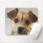 子犬（カニスファミリー） マウスパッド (マウス)