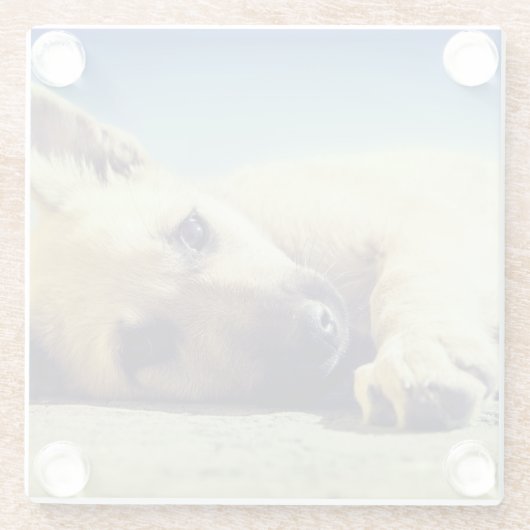 子犬 ガラスコースター (裏面)