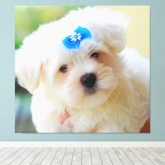 子犬 キャンバスプリント (インサイチュ (ウッドフロア))