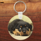 子犬 キーホルダー (正面)