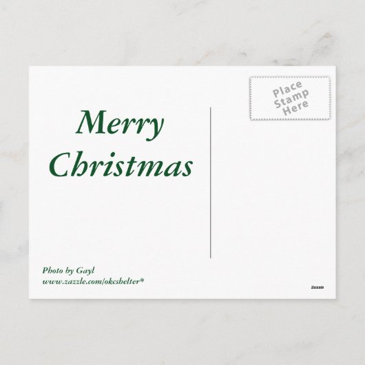 子犬 シーズンポストカード (裏面)