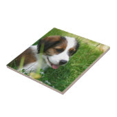 子犬 タイル (側面)