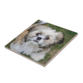 子犬 タイル (側面)