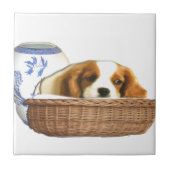 子犬 タイル (正面)