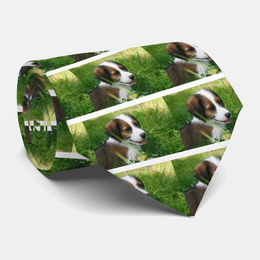 子犬 ネクタイ (ロール)