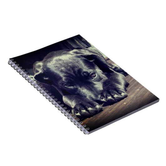 子犬 ノートブック (右側)