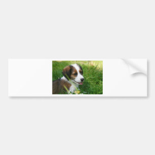 子犬 バンパーステッカー