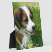 子犬 フォトプラーク (側面)