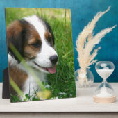 子犬 フォトプラーク (側面)