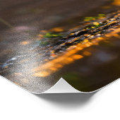 子犬 フォトプリント            (角)