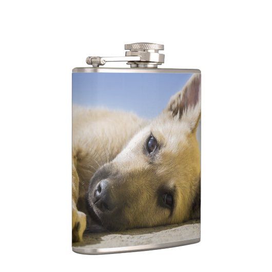 子犬 フラスク (右)