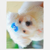 子犬 フリースブランケット (正面)