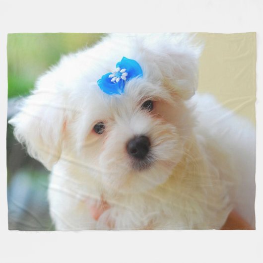 子犬 フリースブランケット (正面(横))