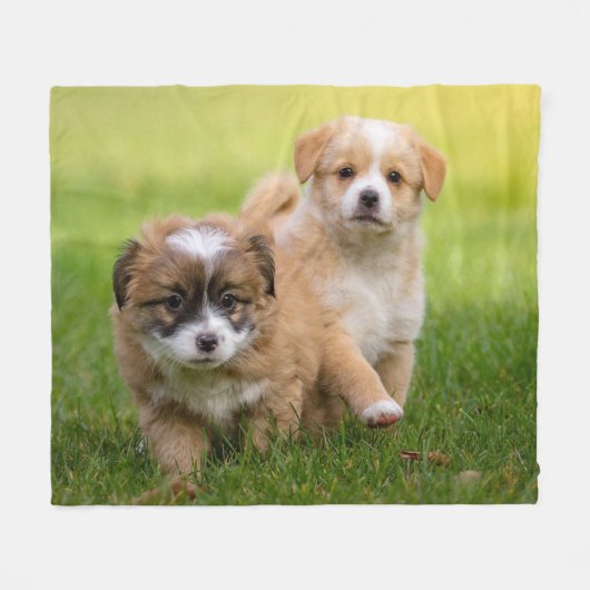 子犬 フリースブランケット (正面(横))