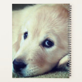 子犬 プランナー手帳 (裏面)