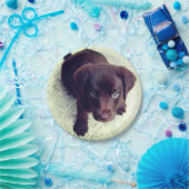 子犬 ペーパープレート (パーティー)