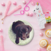 子犬 ペーパープレート (パーティー)