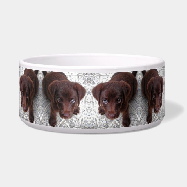 子犬 ボウル (正面)